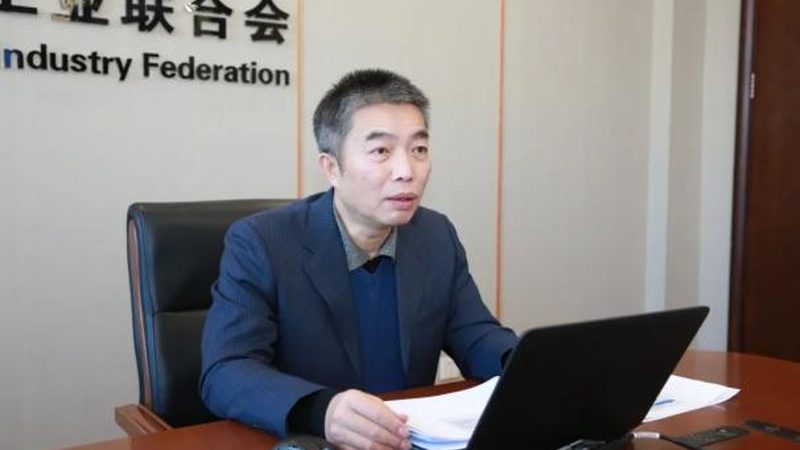 国内生产线改造，龙头公司引领产业升级之路